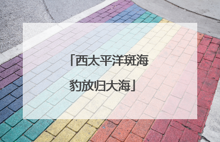 西太平洋斑海豹放归大海
