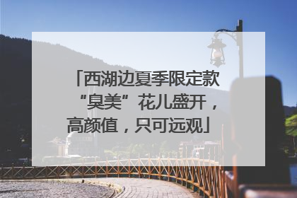 西湖边夏季限定款“臭美”花儿盛开，高颜值，只可远观
