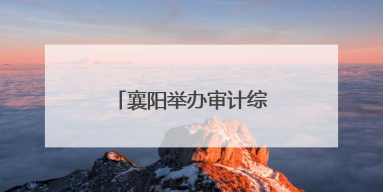 襄阳举办审计综合工作培训班