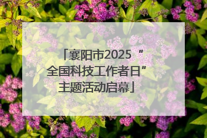 襄阳市2025“全国科技工作者日”主题活动启幕