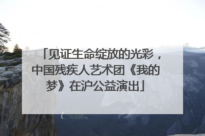 见证生命绽放的光彩，中国残疾人艺术团《我的梦》在沪公益演出
