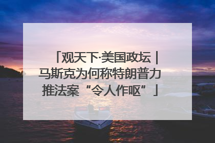 观天下·美国政坛｜马斯克为何称特朗普力推法案“令人作呕”