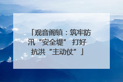 观音阁镇：筑牢防汛“安全堤” 打好抗洪“主动仗”