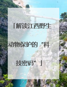 解读江西野生动物保护的“科技密码”