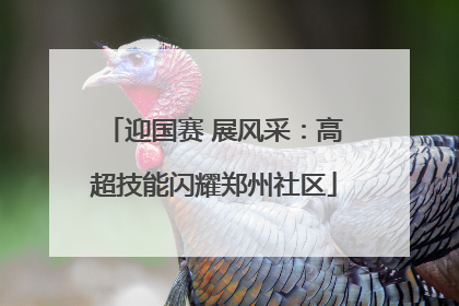 迎国赛 展风采：高超技能闪耀郑州社区