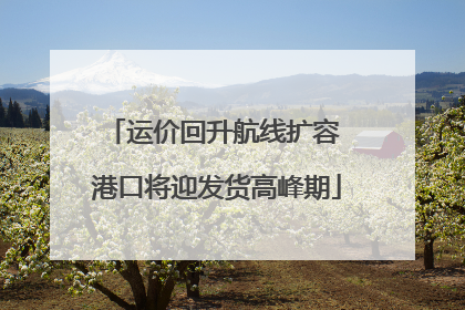 运价回升航线扩容 港口将迎发货高峰期