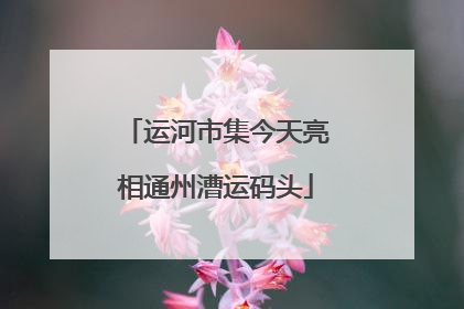 运河市集今天亮相通州漕运码头
