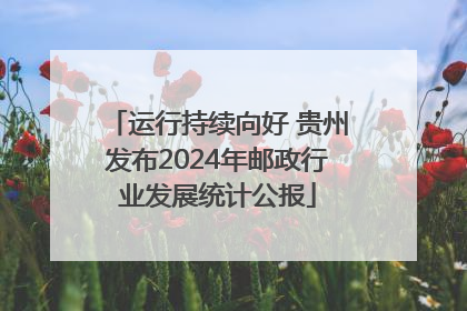 运行持续向好 贵州发布2024年邮政行业发展统计公报
