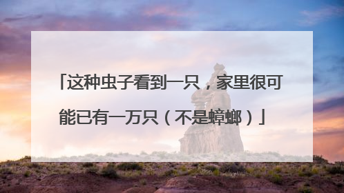 这种虫子看到一只，家里很可能已有一万只（不是蟑螂）
