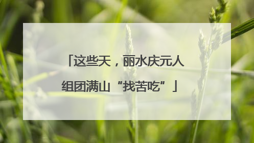 这些天，丽水庆元人组团满山“找苦吃”