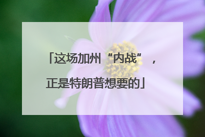 这场加州“内战”，正是特朗普想要的