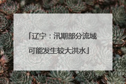 辽宁：汛期部分流域可能发生较大洪水
