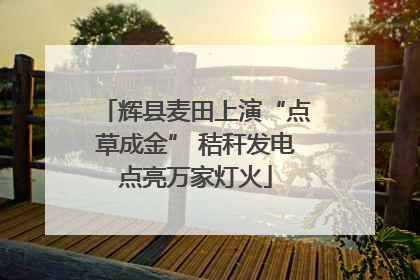 辉县麦田上演“点草成金” 秸秆发电点亮万家灯火