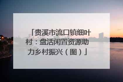 贵溪市流口镇细叶村：盘活闲置资源助力乡村振兴（图）