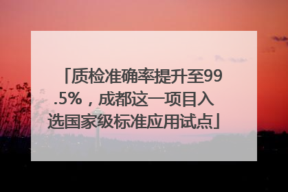 质检准确率提升至99.5%，成都这一项目入选国家级标准应用试点