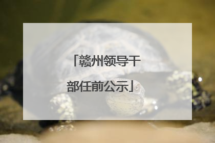赣州领导干部任前公示