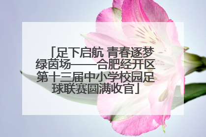 足下启航 青春逐梦绿茵场——合肥经开区第十三届中小学校园足球联赛圆满收官
