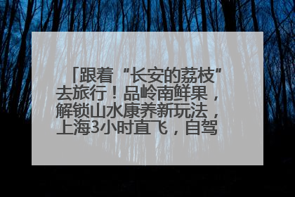 跟着“长安的荔枝”去旅行！品岭南鲜果，解锁山水康养新玩法，上海3小时直飞，自驾高速费优惠