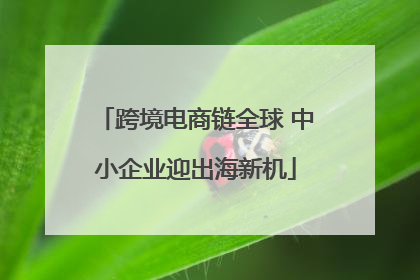 跨境电商链全球 中小企业迎出海新机