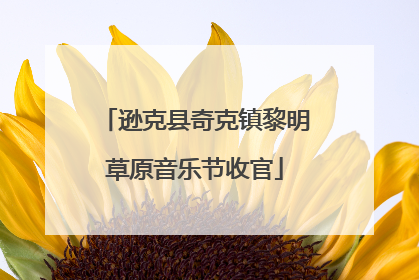 逊克县奇克镇黎明草原音乐节收官