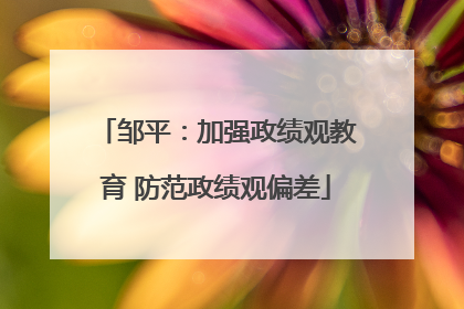邹平：加强政绩观教育 防范政绩观偏差