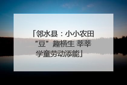 邻水县：小小农田“豆”趣横生 莘莘学童劳动添能