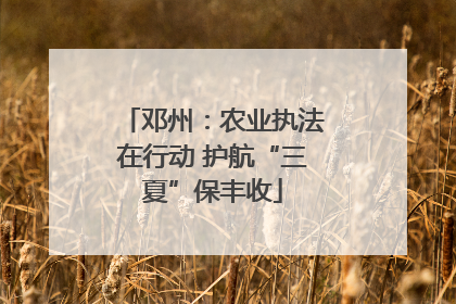 邓州：农业执法在行动 护航“三夏”保丰收