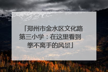 郑州市金水区文化路第三小学：在这里看到拳不离手的风景