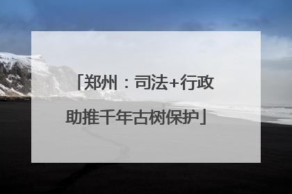 郑州：司法+行政助推千年古树保护