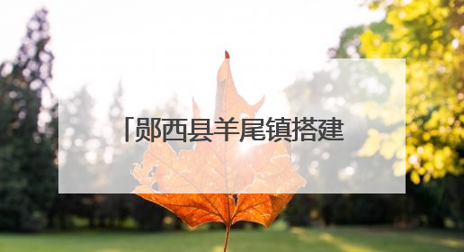 郧西县羊尾镇搭建调制大棚激活烟叶产业“新动能”