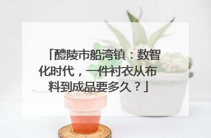 醴陵市船湾镇：数智化时代，一件衬衣从布料到成品要多久？