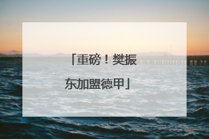 重磅！樊振东加盟德甲