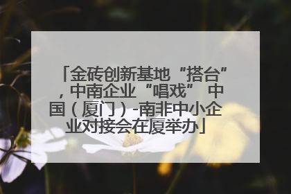 金砖创新基地“搭台”，中南企业“唱戏” 中国（厦门）-南非中小企业对接会在厦举办