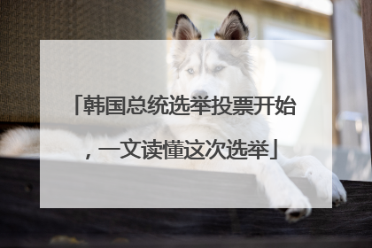 韩国总统选举投票开始，一文读懂这次选举