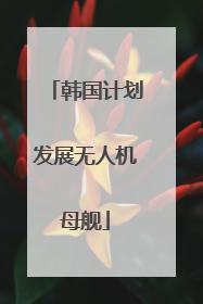 韩国计划发展无人机母舰