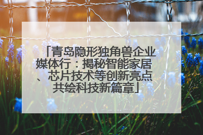 青岛隐形独角兽企业媒体行：揭秘智能家居、芯片技术等创新亮点 共绘科技新篇章