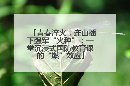 青春淬火，连山播下强军“火种”：一堂沉浸式国防教育课的“燃”效应