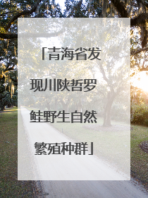 青海省发现川陕哲罗鲑野生自然繁殖种群