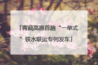 青藏高原首趟“一单式”铁水联运专列发车