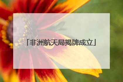 非洲航天局揭牌成立