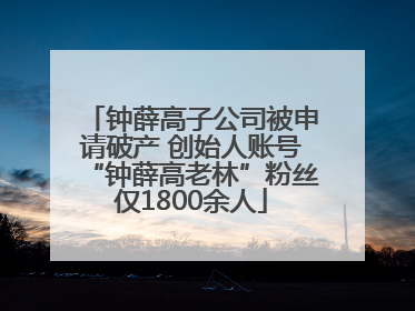 钟薛高子公司被申请破产 创始人账号“钟薛高老林”粉丝仅1800余人