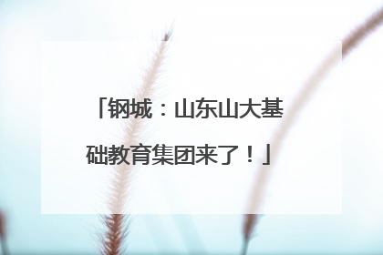 钢城：山东山大基础教育集团来了！