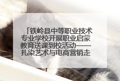 铁岭县中等职业技术专业学校开展职业启蒙教育送课到校活动——扎染艺术与电商营销走进熊官屯镇中心小学