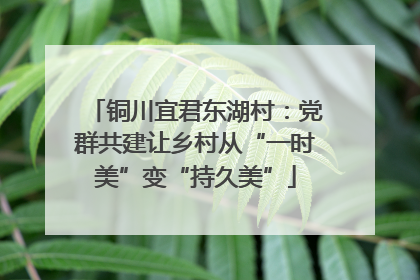 铜川宜君东湖村：党群共建让乡村从“一时美”变“持久美”