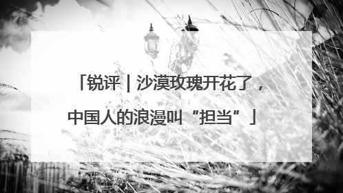 锐评｜沙漠玫瑰开花了，中国人的浪漫叫“担当”