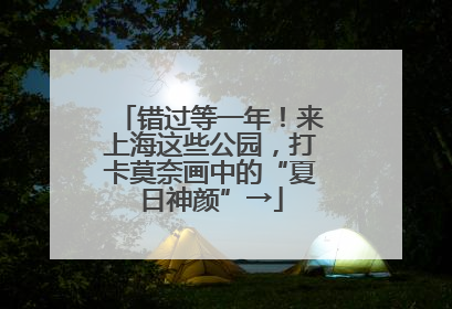 错过等一年！来上海这些公园，打卡莫奈画中的“夏日神颜”→