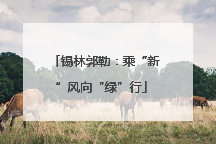 锡林郭勒：乘“新”风向“绿”行