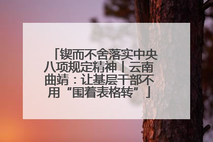 锲而不舍落实中央八项规定精神丨云南曲靖：让基层干部不用“围着表格转”