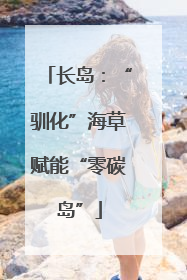 长岛：“驯化”海草赋能“零碳岛”