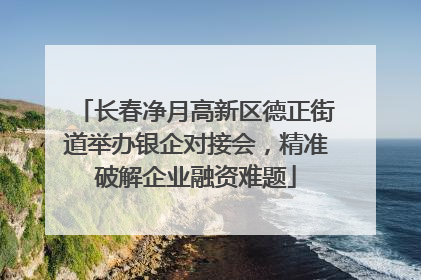 长春净月高新区德正街道举办银企对接会，精准破解企业融资难题